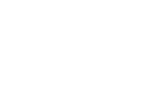 Lake Norman Realty Logo